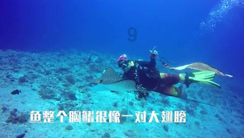 龙诚职业培训学校因戍校区-探索与分享的社区平台