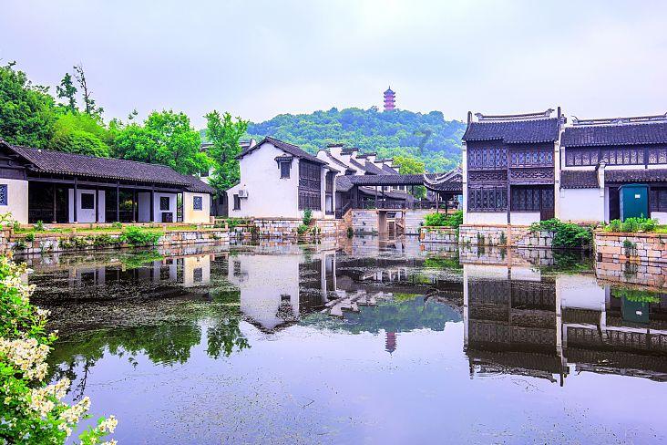 解疑解惑,探索奇妙世界——秋季桃树移栽到现在出芽不旺怎么回事?蜗牛问答平台
